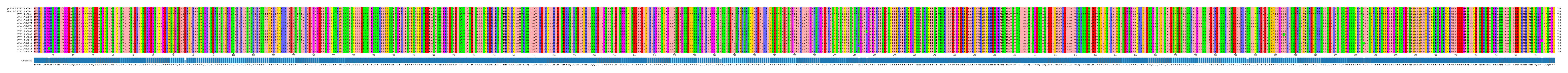 Multiple Alignments (by translate haplotype frequency)