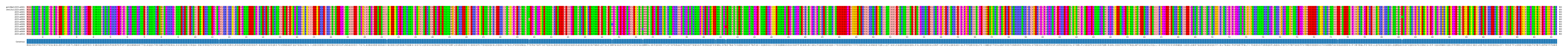 Multiple Alignments (by translate haplotype frequency)